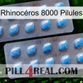 Rhinocéros 8000 Pilules viagra4